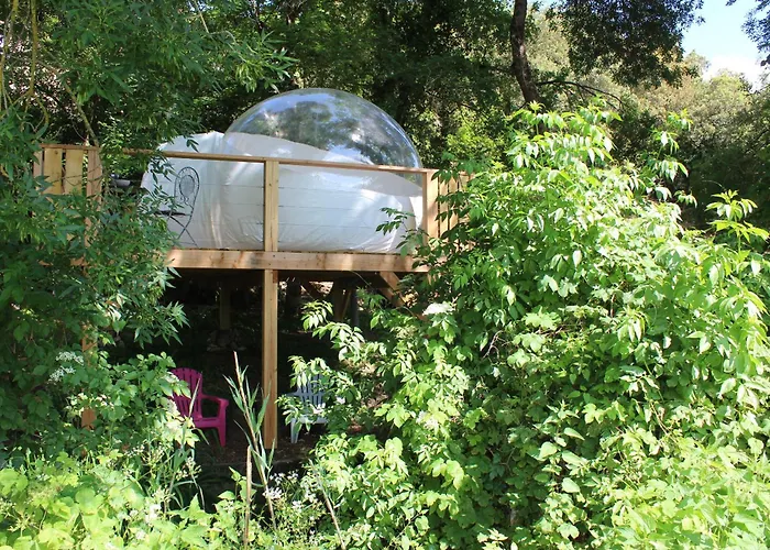 La Bulle Canopee